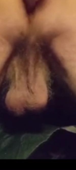 My full, hanging balls.