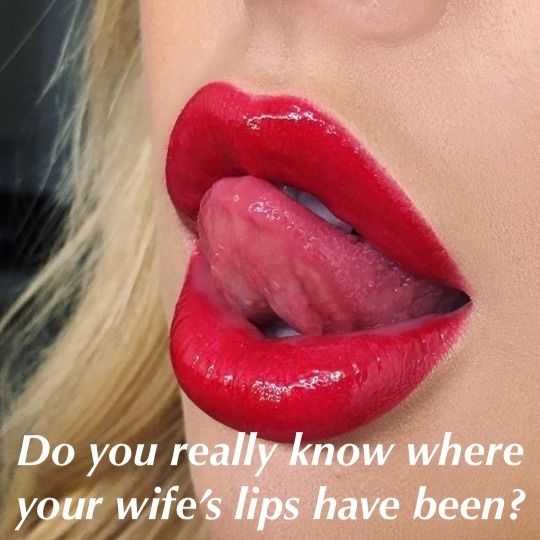 vixen confessions