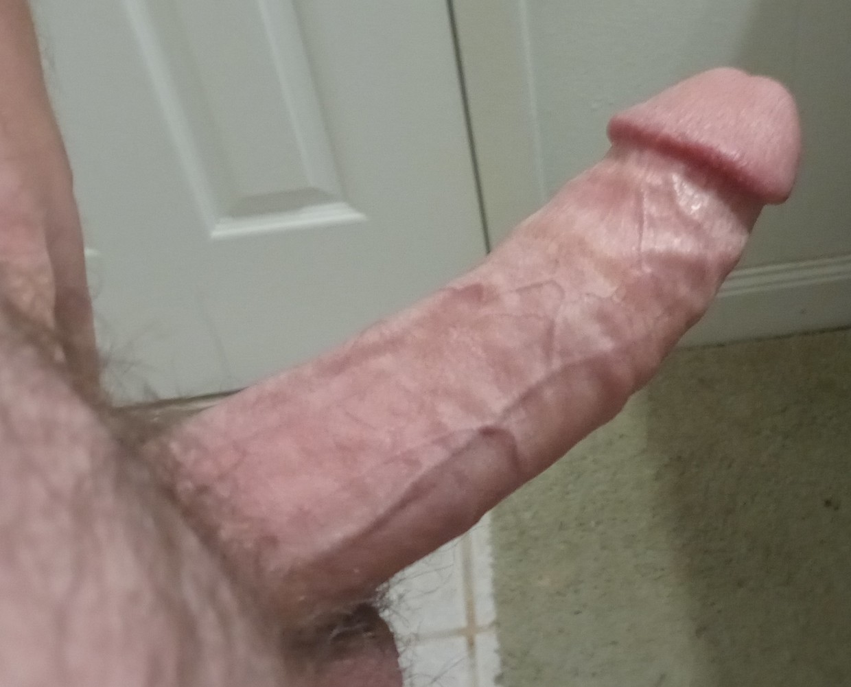 big hard throbbing cock waiting to be sucked
