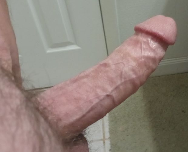 big hard throbbing cock waiting to be sucked