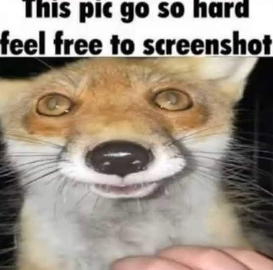 That pic is sooooo hard, you should screenshot