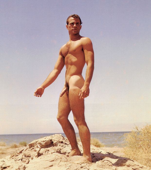 Gary Seegar