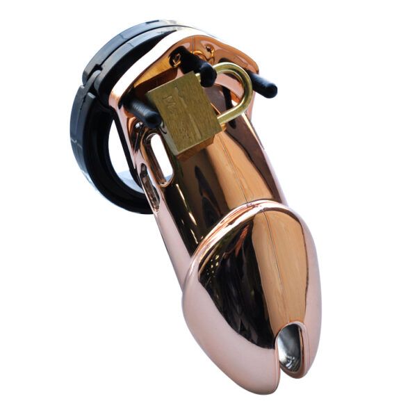 Darling, have you ever thought about trying male chastity?