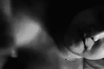 bites her lip