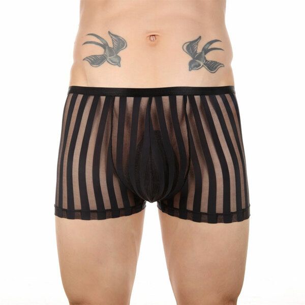 Sexy See Through Elastic Underwear Crossdress Breathable Lingerie