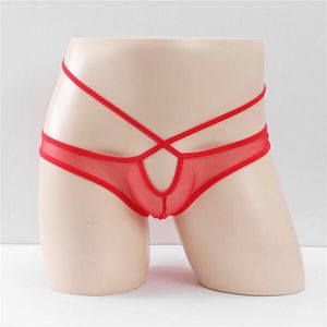 Sexy Criss Cross Mesh Transparent Lingerie Underwear Women's Briefs