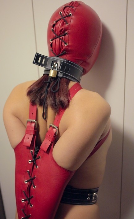 I love a sub in a hood and armbinder!