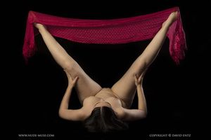 busty brunette shaved