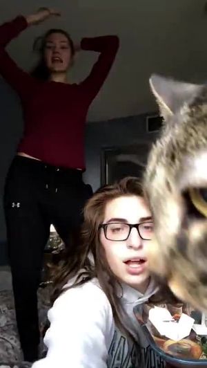 Shorty and two pussies