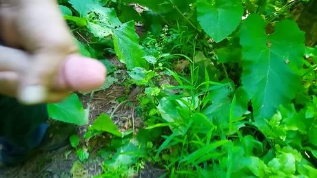 shooting ropes in the woods