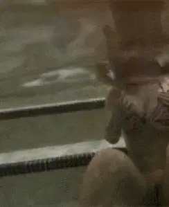 shaking boobs in water