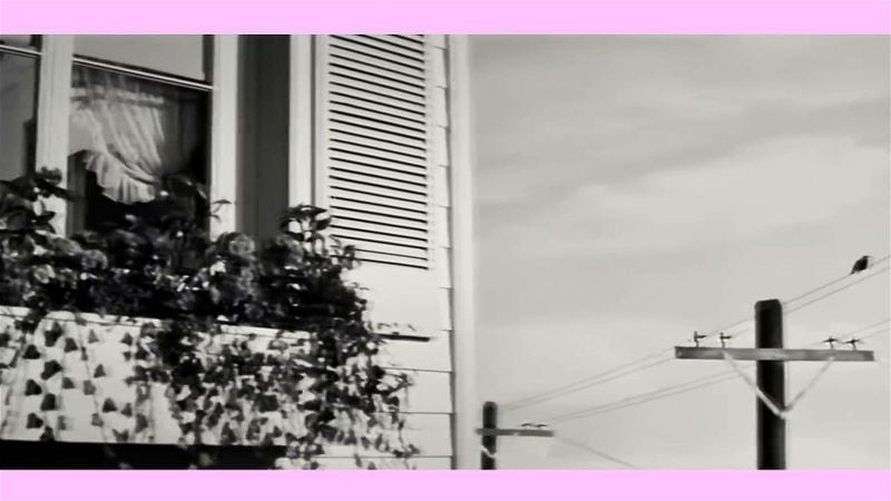 Charli XCX PMV