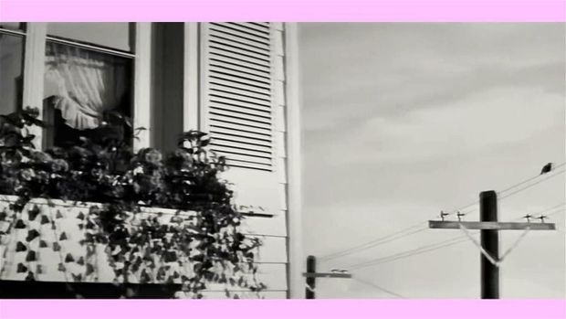 Charli XCX PMV