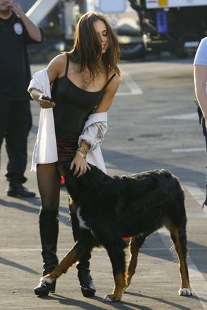 lucky dog finds Eliza Dushku's scent pit