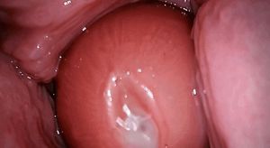 Vaginal penetration - lots of cum