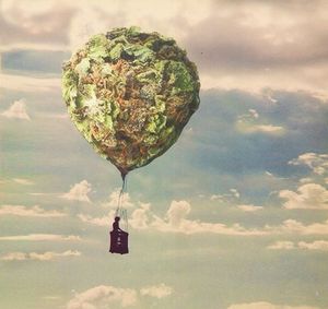 Fly Away My Friends :)~ !!!