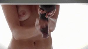 Black bull at the milking table