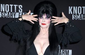Elvira intrigued to see you bust all over her