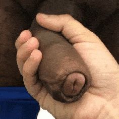 Wow nice cock