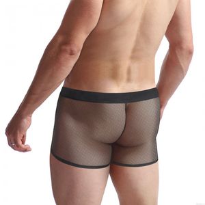 Sexy Creux Transparent Poche bombée Trunks Sous-Vêtements Culottes Sissy Slip Homme Lingerie Dos en T Boxeurs Slips