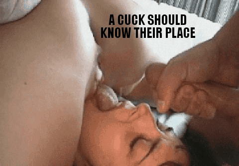 A cuck should know their place