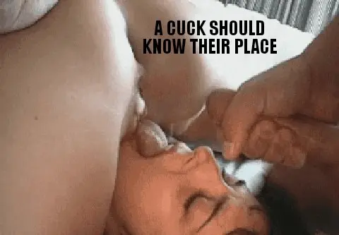A cuck should know their place