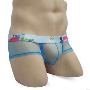 Sexy Mesh Transparent Blumengürtel G-String Tanga Trunks Unterwäsche Höschen Dessous T-Back Nahtlose Slips Schlüpfer Sissy Herren Unterhosen