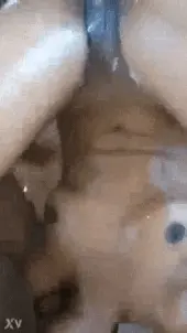Why is black pussy usually so freakin juicy?