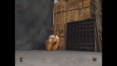 How to Fetch the Red Ball whilst wearing a Sunflower Butt-Plug