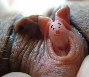 should i call him clitlet?