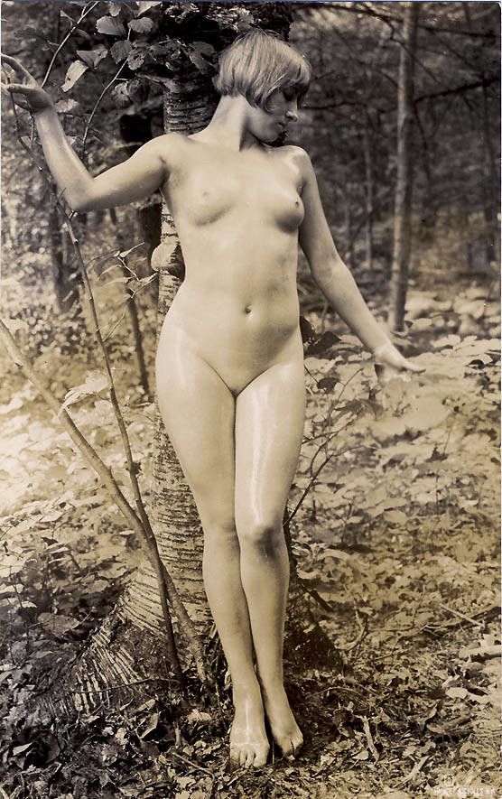 In the forest