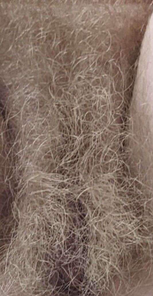 hairy blond bush