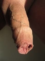 Purrfuckt docking cock.
