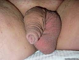 Sad lonely dick. Be his friend