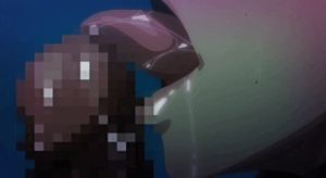 T-rex - takahara ren (11)