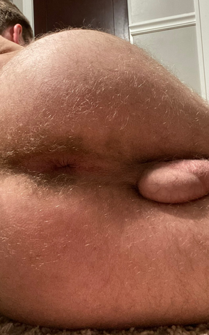Would you lick my hairy ass?