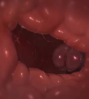 Whisperingfornothing - tasque manager