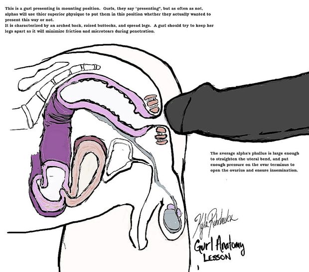Anal outline