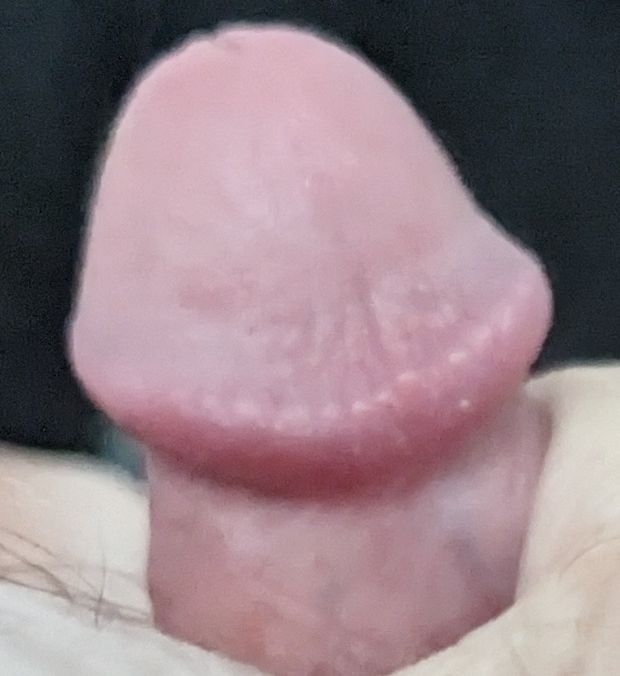 hot cock