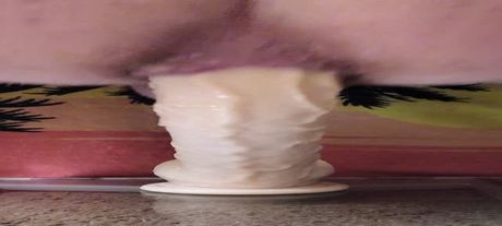 Thick Ass Gripping Massive Dildo