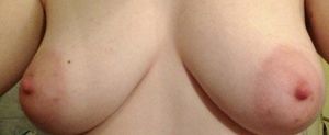 Boobies