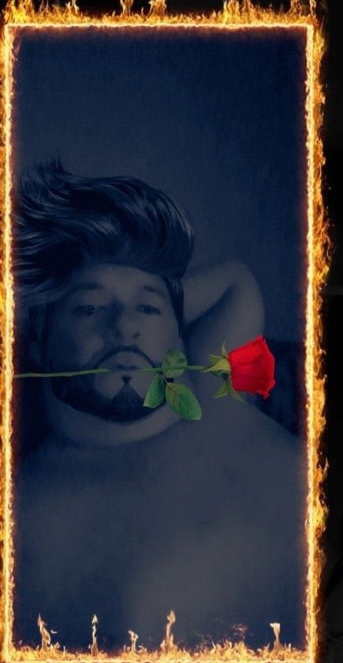 The rose for you
