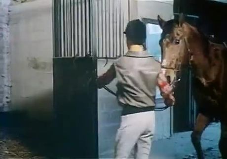 Large Dormitory #728