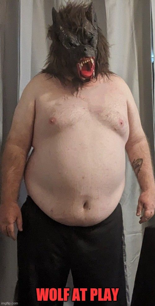 chubby wolf