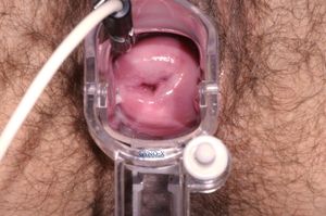 Vanessa's inner pussy