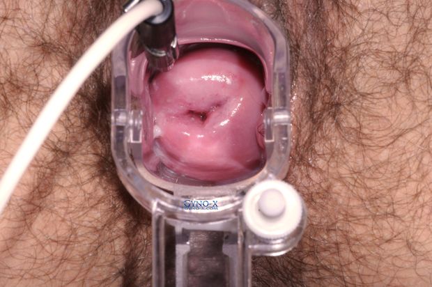 Vanessa's inner pussy