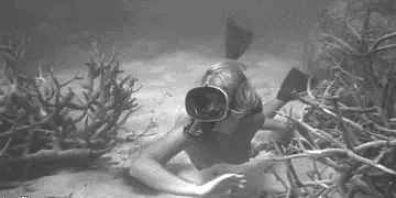 La Mer