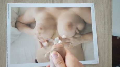 Tribute to great tits