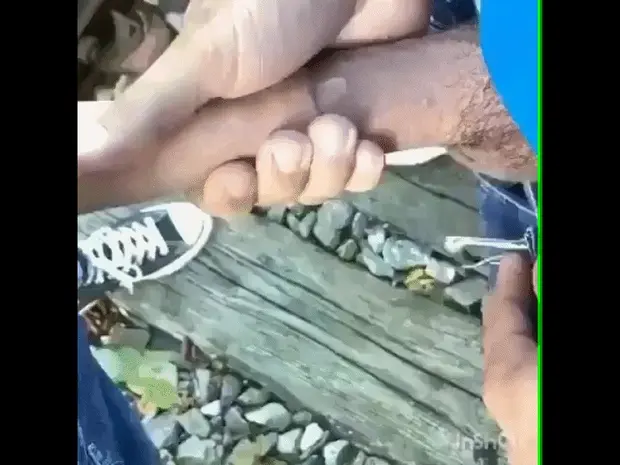 Docking cocks