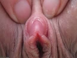 Come suck on my clit please
